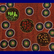 Aboriginal Art Canvas - Kresna Cameron-Size:68x75cm - H
